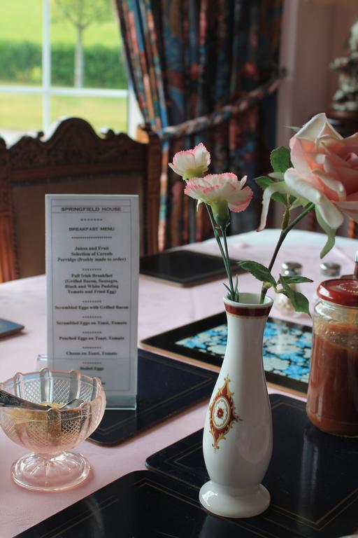 Springfield House B&B Clonakilty Esterno foto